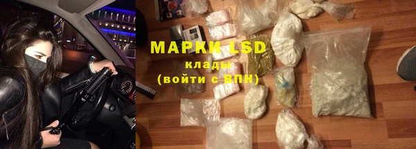 PSILOCYBIN Горняк