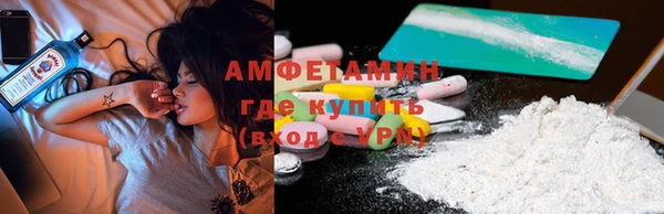 PSILOCYBIN Горняк