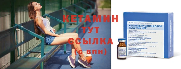 прущие грибы Горно-Алтайск