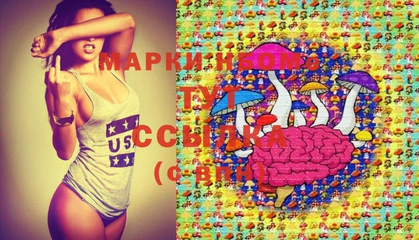 прущие грибы Горно-Алтайск