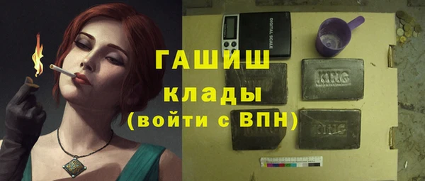 прущие грибы Горно-Алтайск