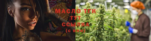 прущие грибы Горно-Алтайск