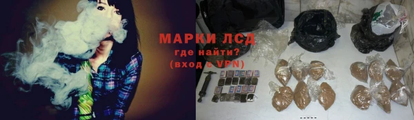 прущие грибы Горно-Алтайск