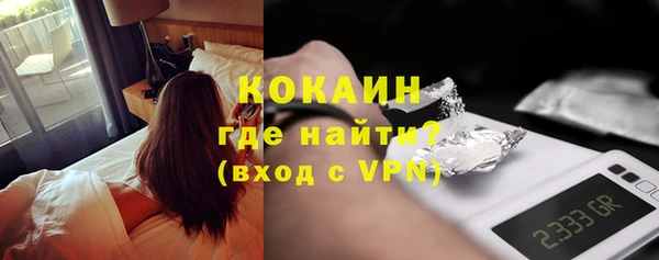 PSILOCYBIN Горняк