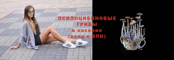 PSILOCYBIN Горняк