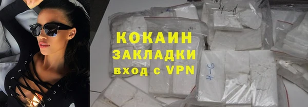 прущие грибы Горно-Алтайск