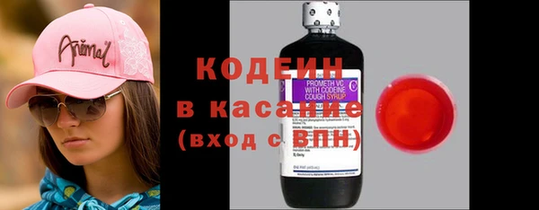 прущие грибы Горно-Алтайск