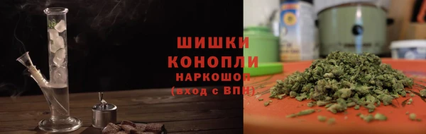 прущие грибы Горно-Алтайск