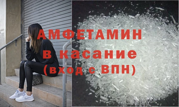 PSILOCYBIN Горняк
