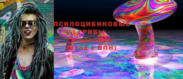 прущие грибы Горно-Алтайск