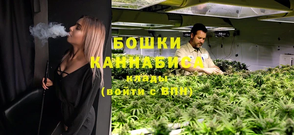 PSILOCYBIN Горняк