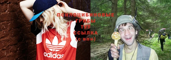 PSILOCYBIN Горняк