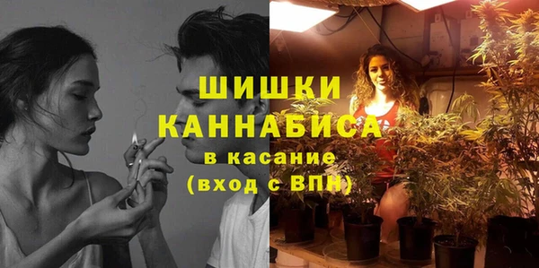 PSILOCYBIN Горняк