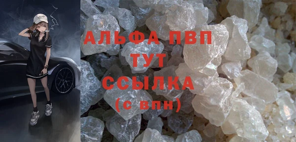 PSILOCYBIN Горняк