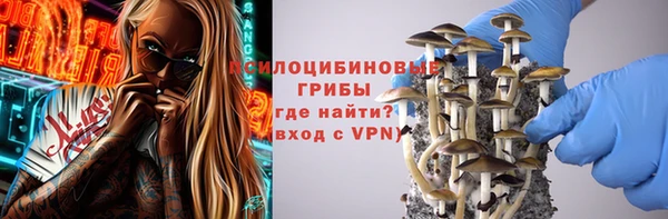 PSILOCYBIN Горняк