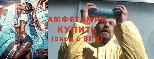 прущие грибы Горно-Алтайск