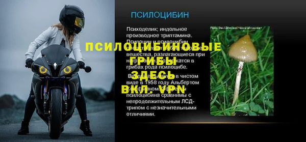 mdpv Горнозаводск